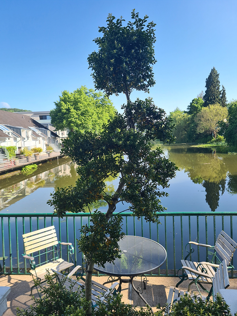 Zufrieden Kundin von Mustermann Immobilien.