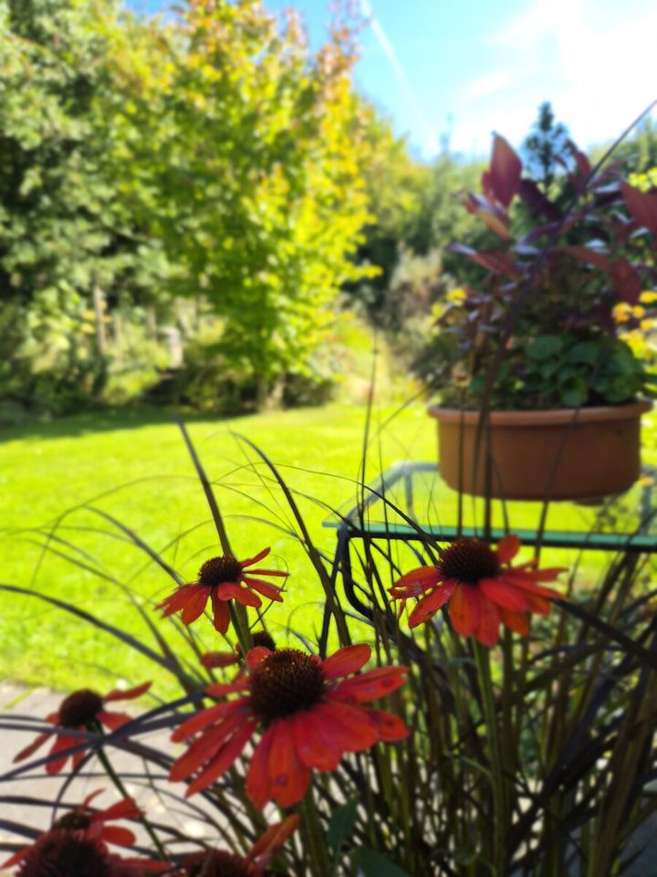 ...und Zugang zum Garten