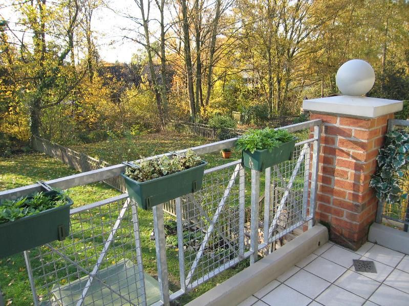 Balkonblick ins Grüne