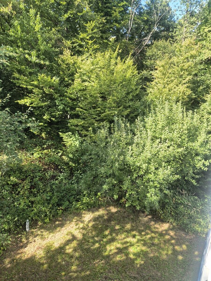 ...mit Ausgang zum Garten