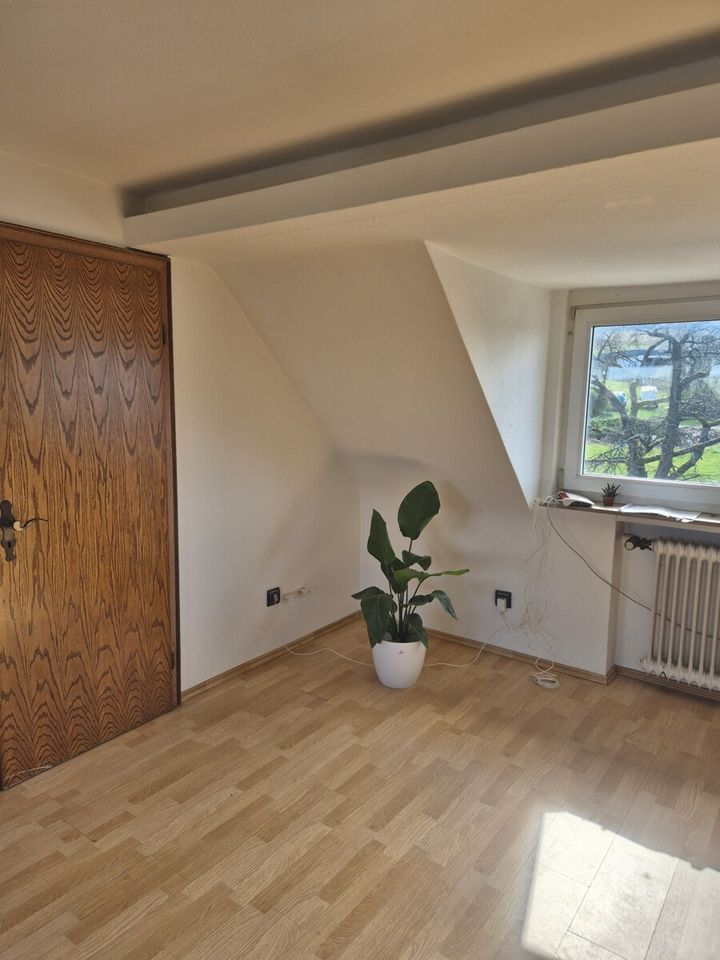 Eindrücke aus der...