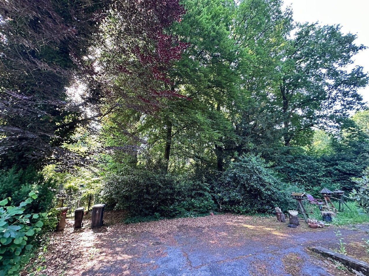 Grundstücksansicht 7