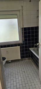 Bild5
