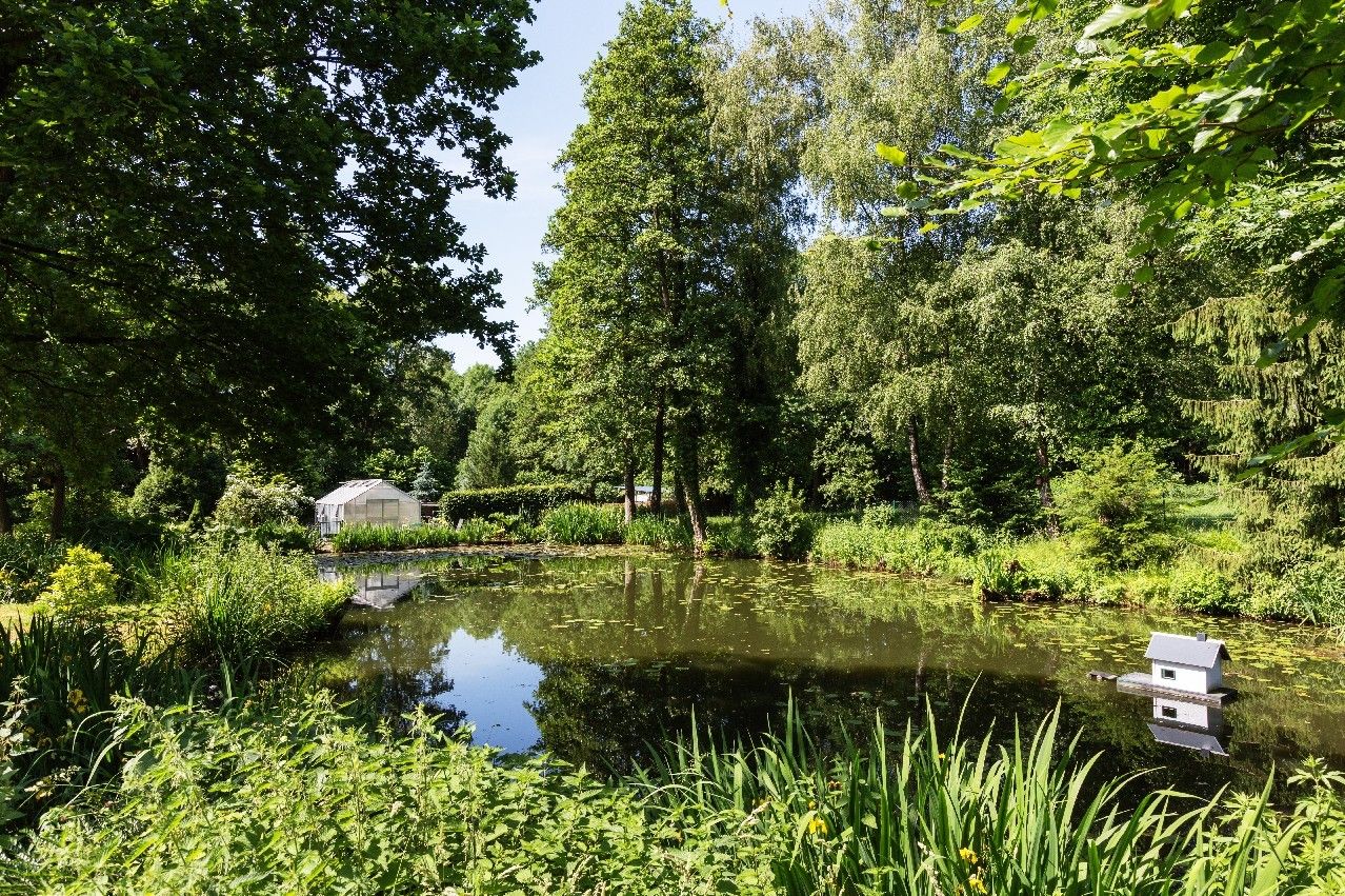 Teich im Garten