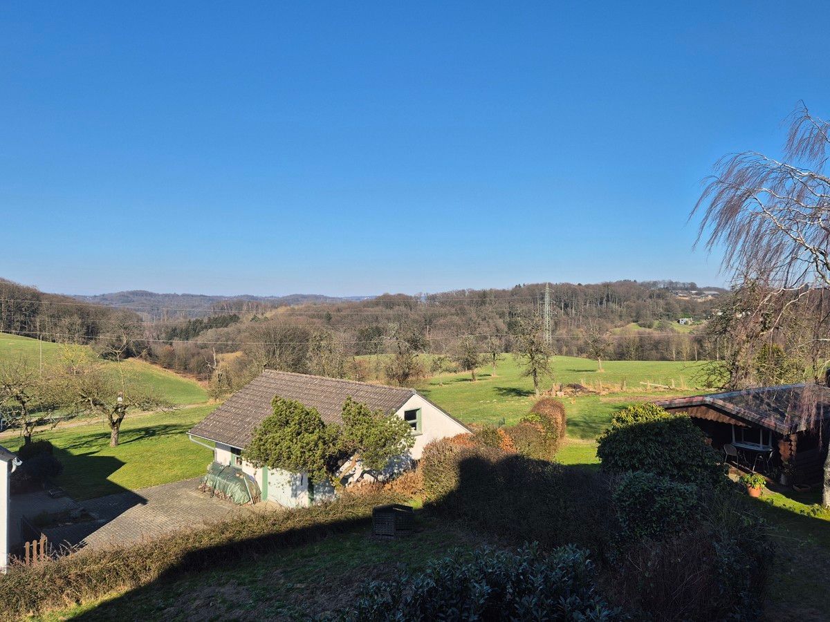 ...grüne Landschaft